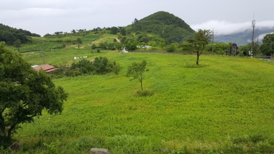 •캠핑 A구역(공지사항과팝업공지창을확인해주세요) 포토