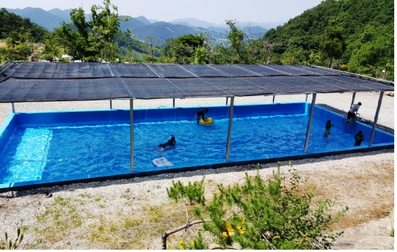 •캠핑 A구역(공지사항과팝업공지창을확인해주세요) 포토